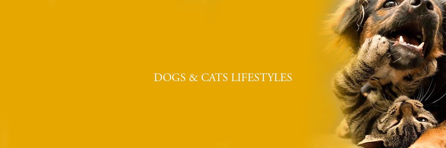 FurTimes's profile banner image