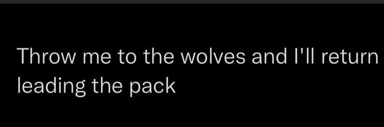 Tiquez D Mallette banner