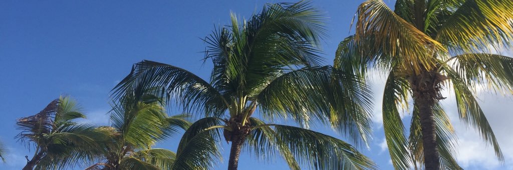mauihpowell's profile banner image