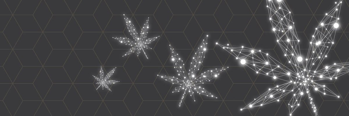 mjplatformtech's profile banner image