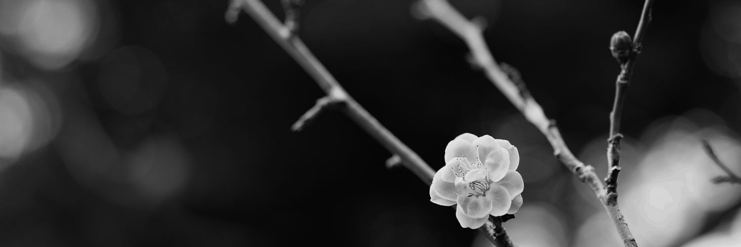 86021DA's profile banner image