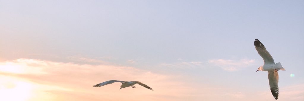 mmmmmdtrn's profile banner image
