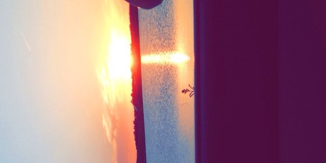 madmandavis69's profile banner image