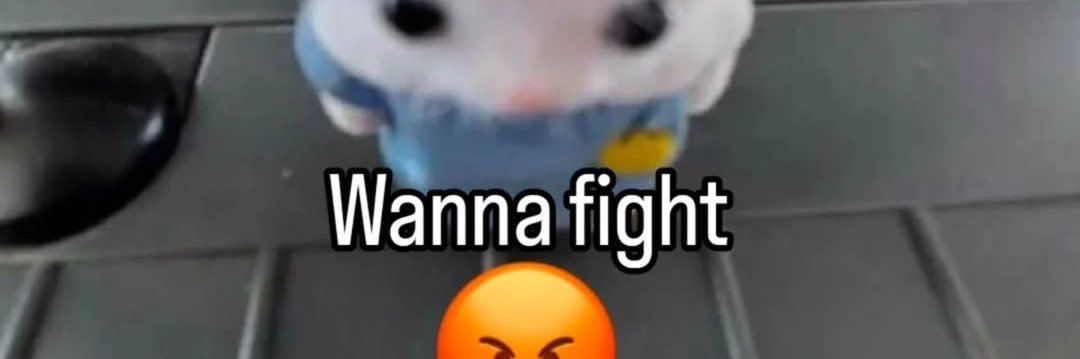 dstinglxy's profile banner image