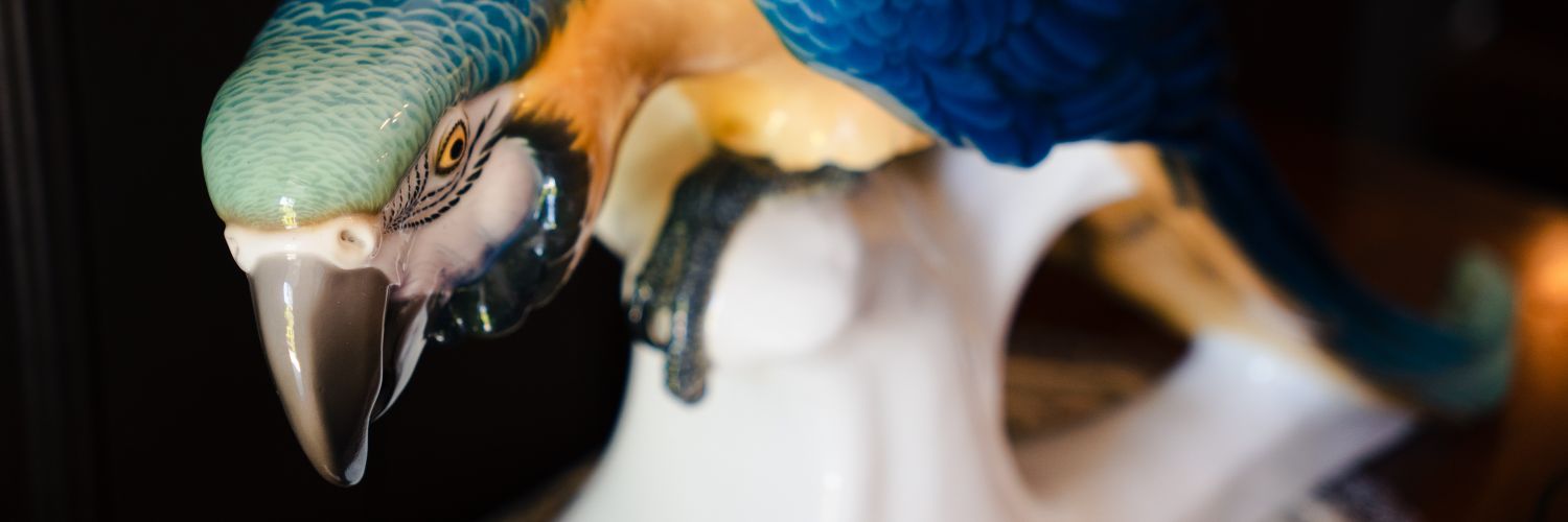 fnobi's profile banner image