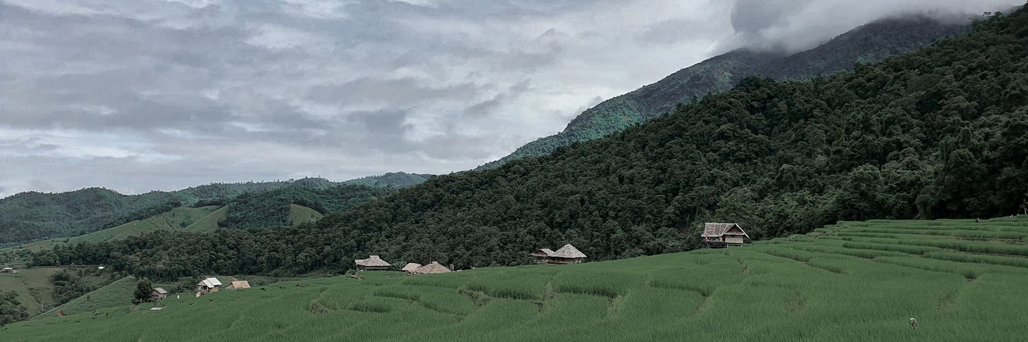 baiipo's profile banner image
