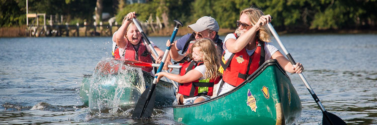 New Forest Activities banner