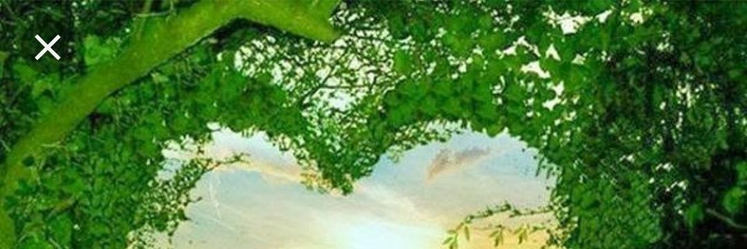 MISS_DANYS's profile banner image