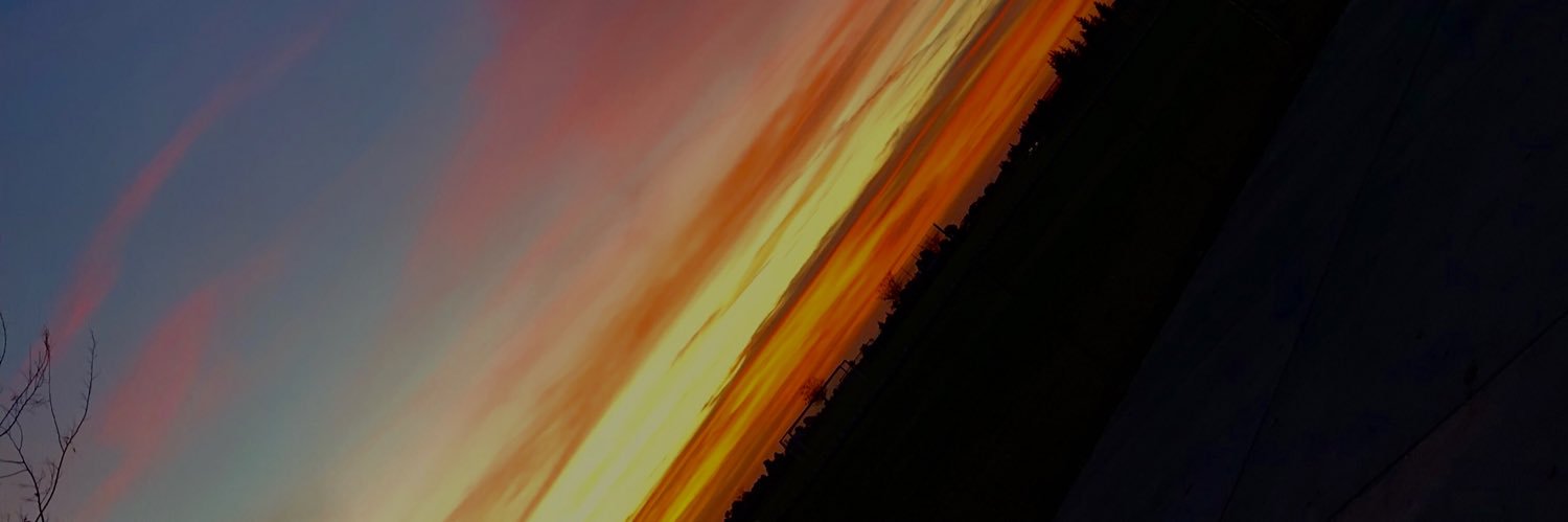 aleigh banner