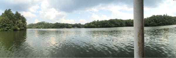 Waxahatchee Profile Banner
