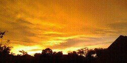 Uminisa's profile banner image