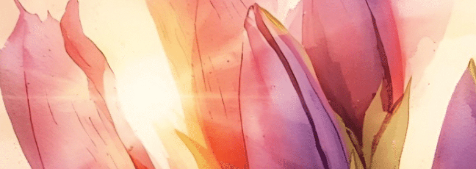 AsuParius's profile banner image