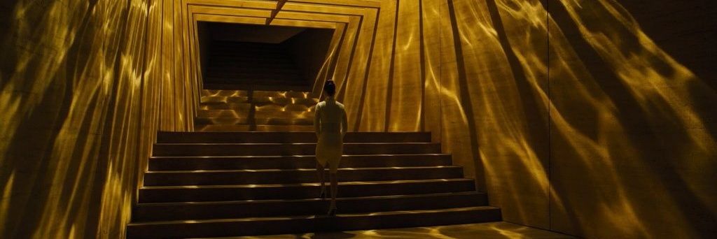 живучка ползучая banner