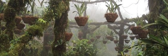 ive_ur_dada's profile banner image