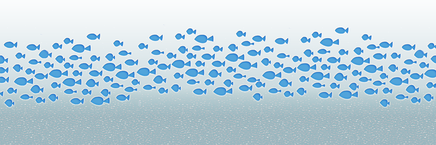 2DataFish's profile banner image