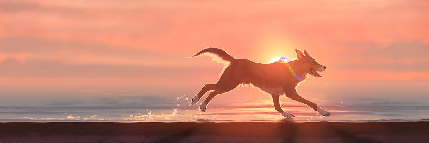 greysonwuff's profile banner image
