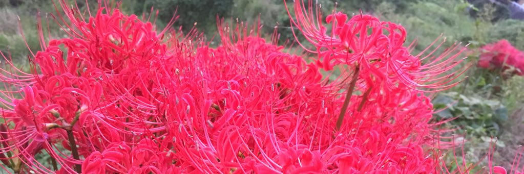 ae3211's profile banner image