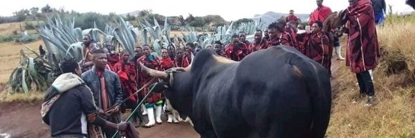 mashoata Profile Banner