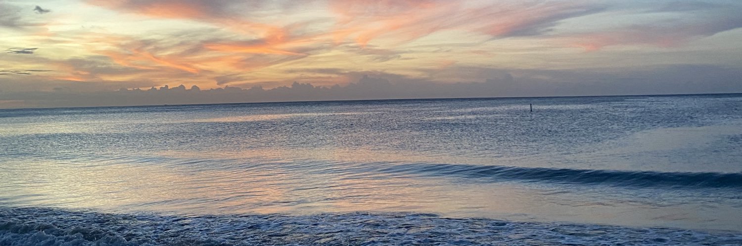 aulola04's profile banner image