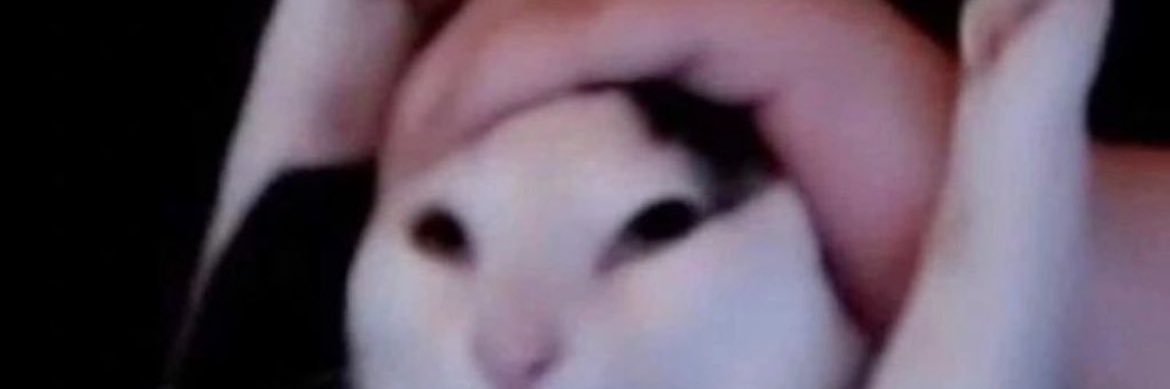 死刑@28卒 banner