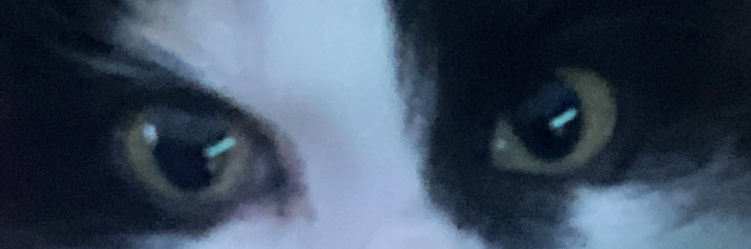 ApeAku1's profile banner image
