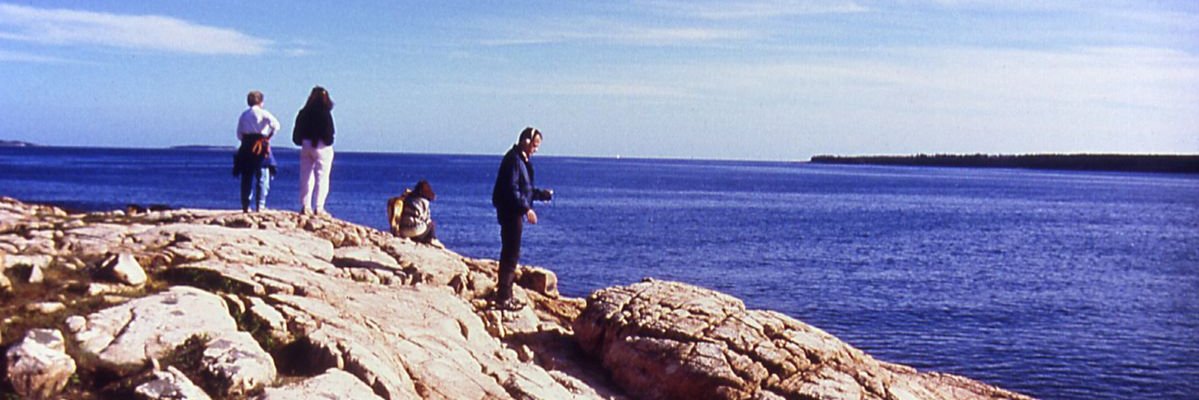 gab inch neles banner