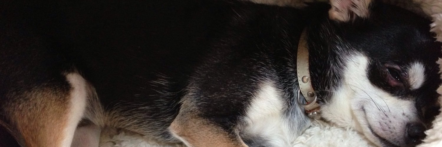 mayumingood's profile banner image