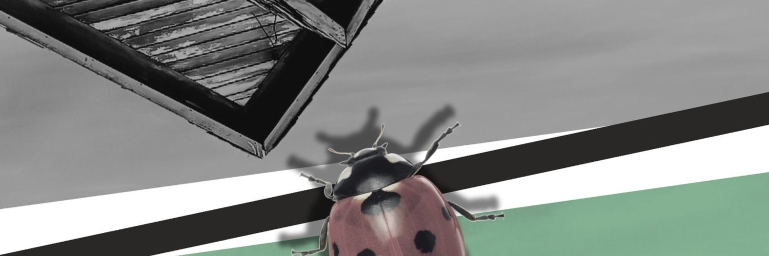 klugula's profile banner image