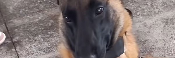 lurqxx Profile Banner
