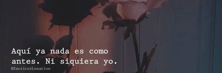 MissBenedetti's profile banner image