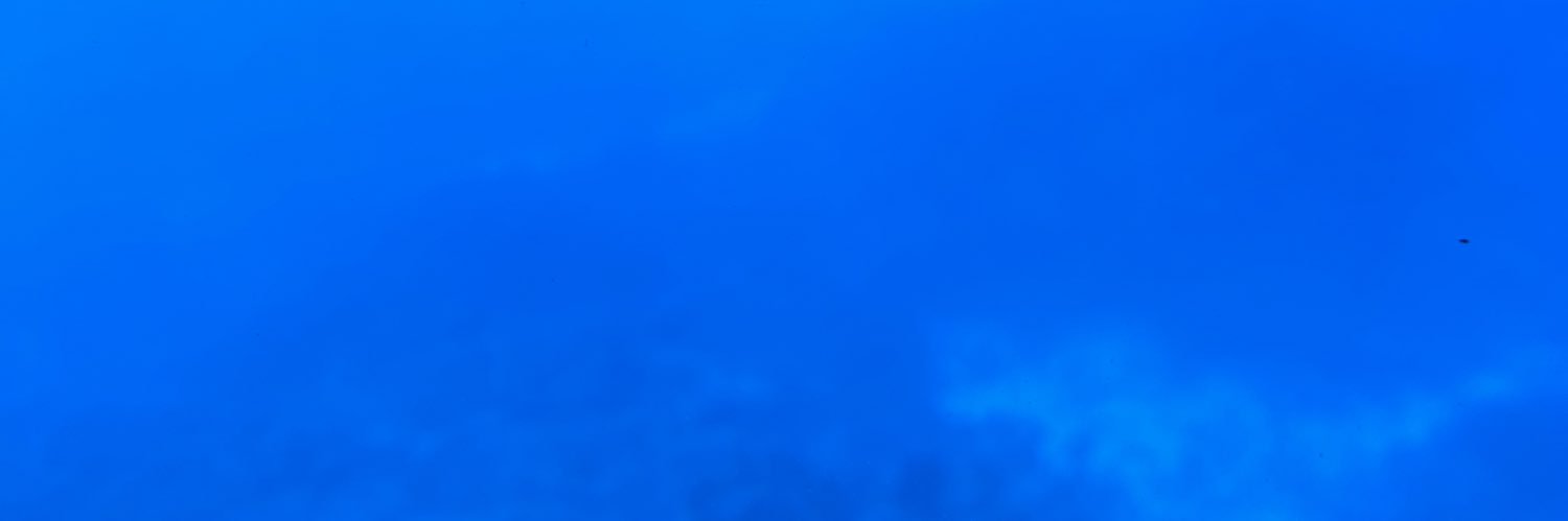 Vijay banner