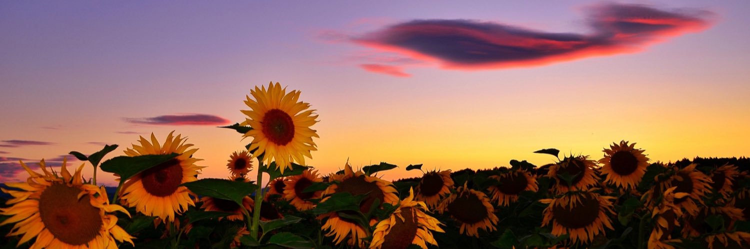 JaydeEsparza's profile banner image