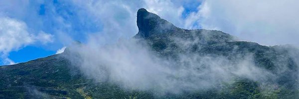 Gicheha_B Profile Banner