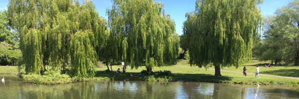 nmonerat Profile Banner