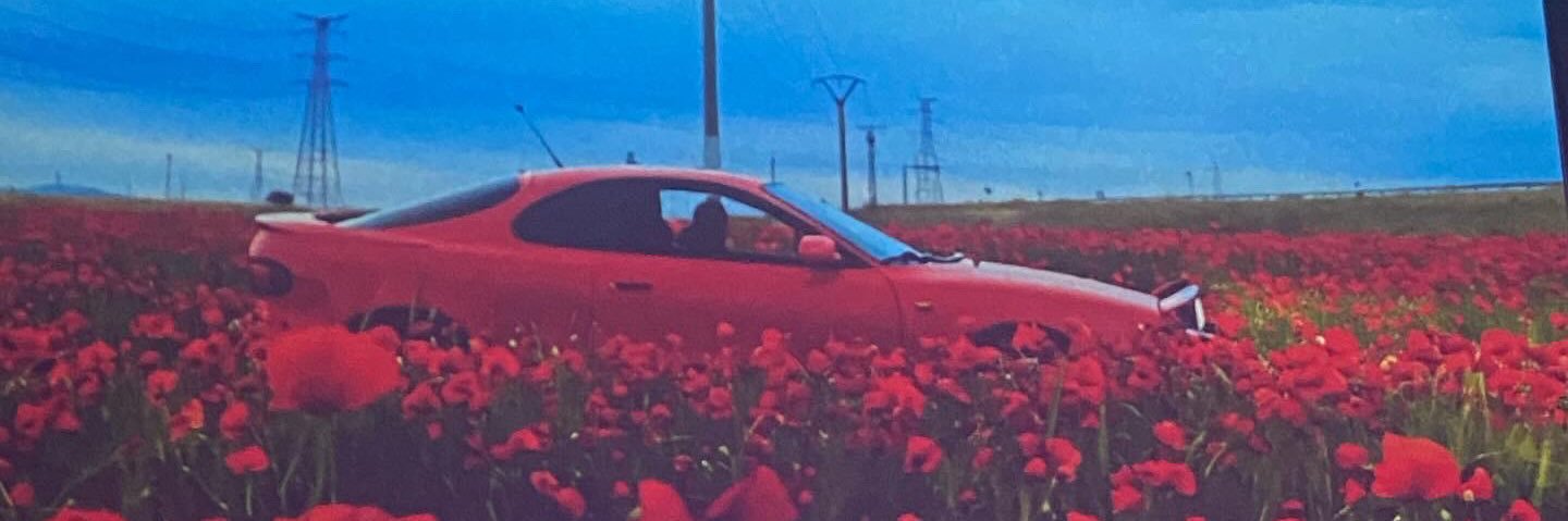 𓆰Adri 𓆪 banner