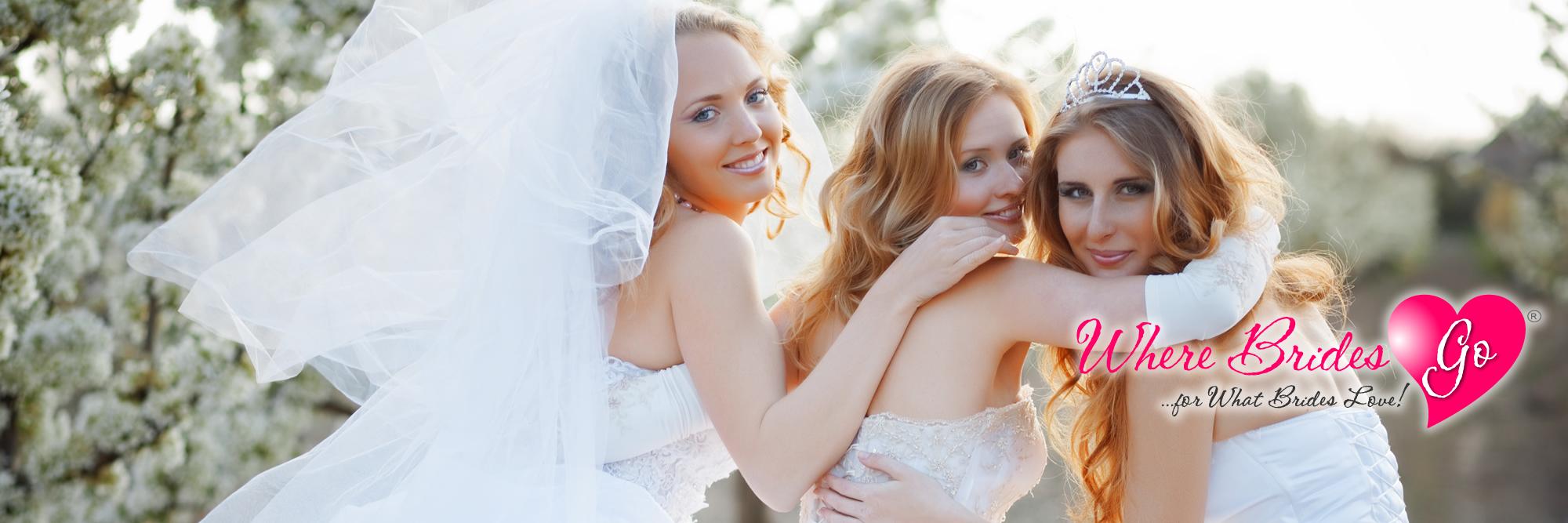 wherebridesgo's profile banner image