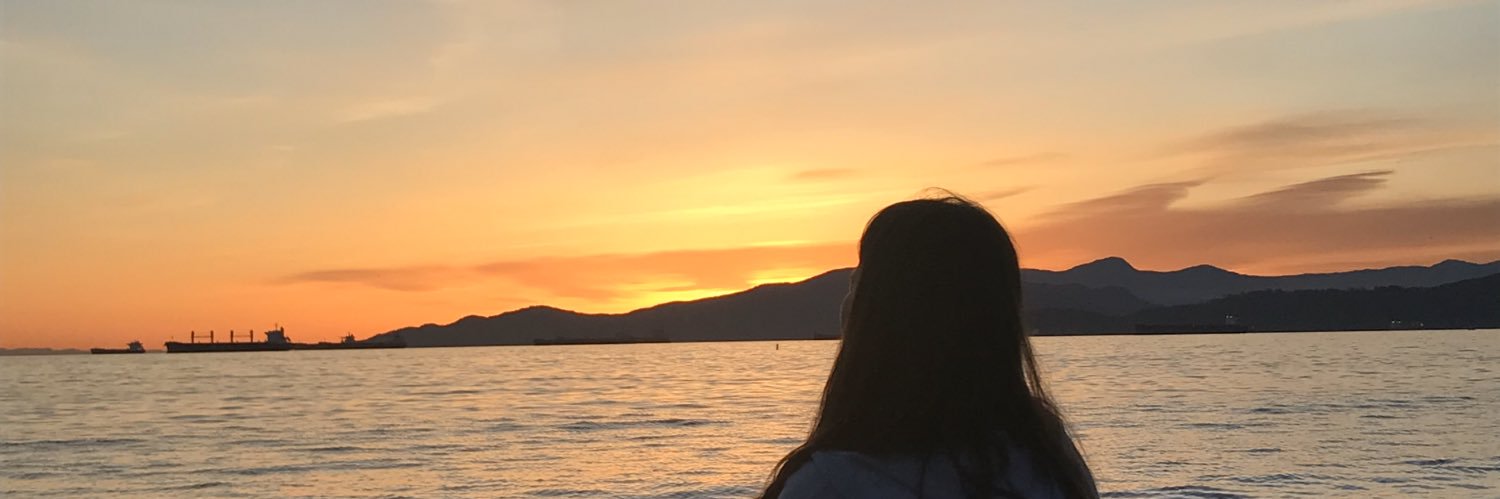 fapeche_br's profile banner image