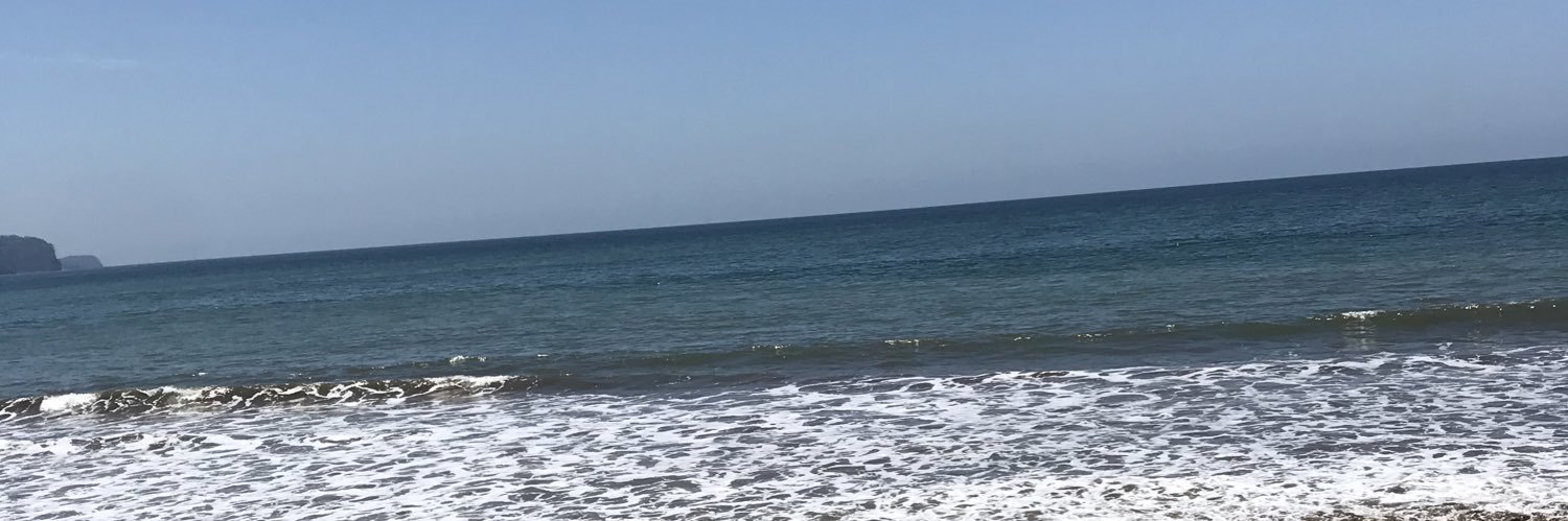 Lizziestmr1's profile banner image