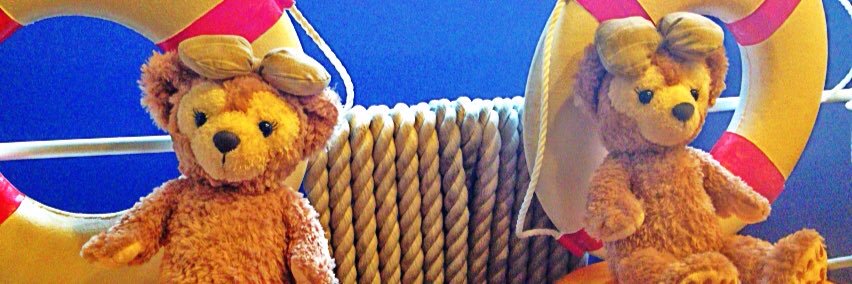 ri28_y's profile banner image