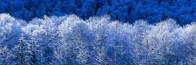 snowbuabu's profile banner image