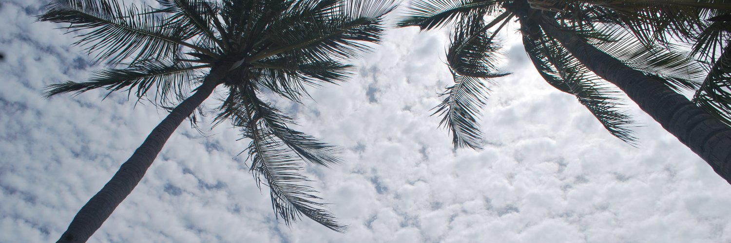 SalazargSamuel's profile banner image