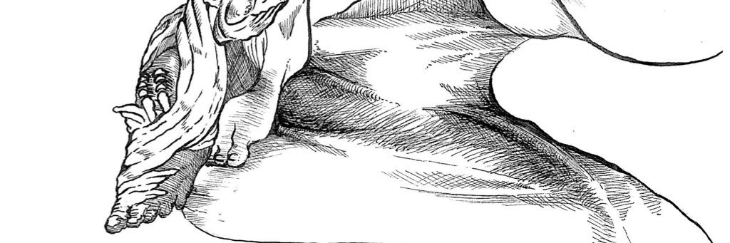 obixtu's profile banner image