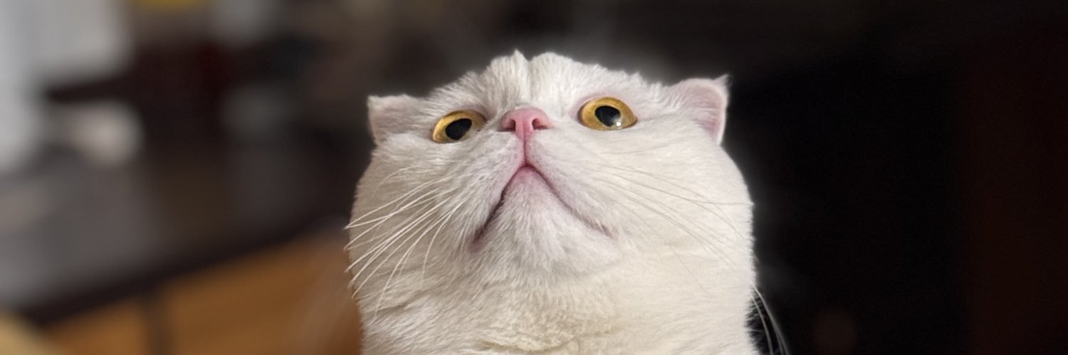 معلقولوژیست banner