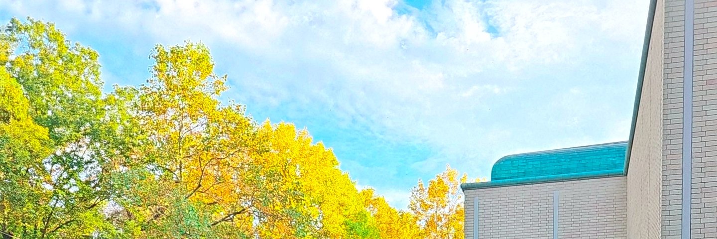 成瀬忠詠 banner