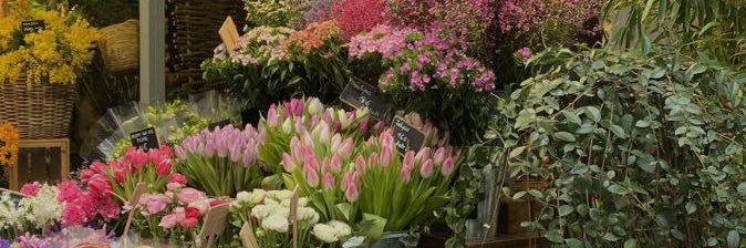 sa pulang dh malem banner