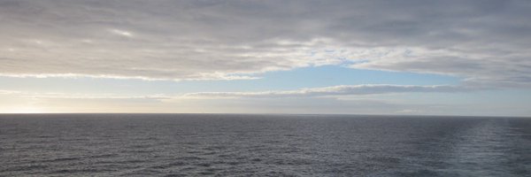 LinLZhu Profile Banner