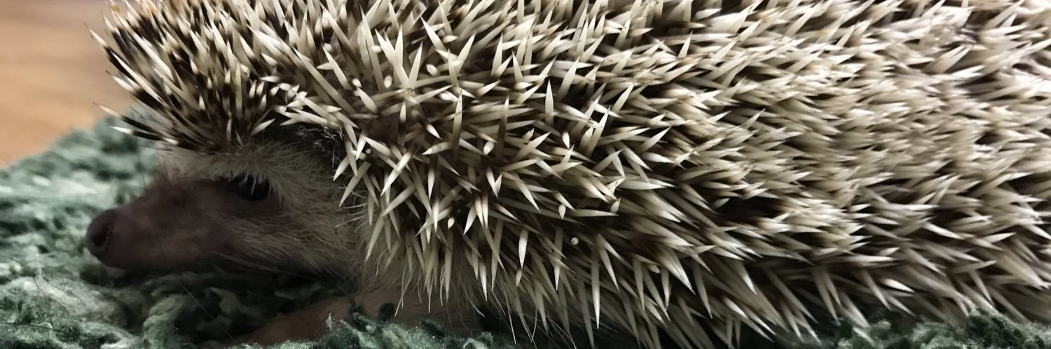 komizuking's profile banner image
