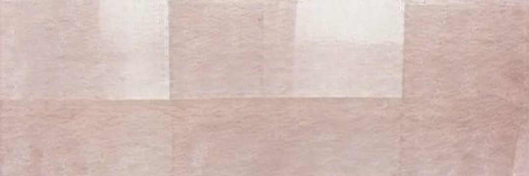 pippione13's profile banner image