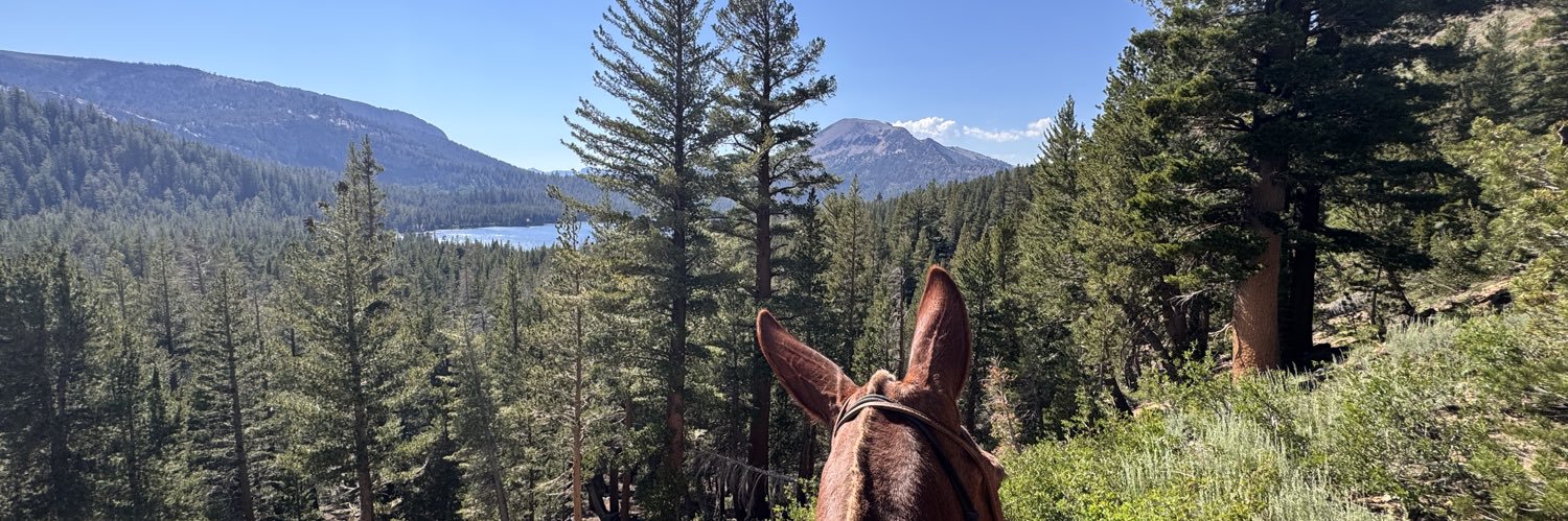 horse girl of skalitz banner