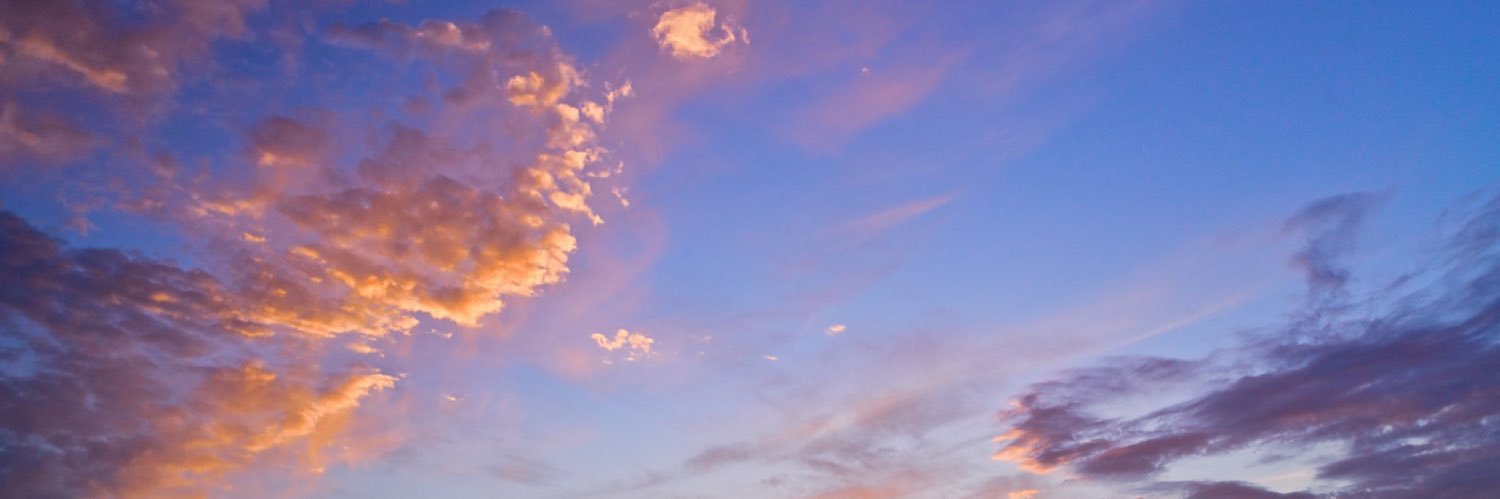 濃厚さーたん banner